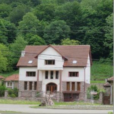 Vila de vinzare in Moneasa