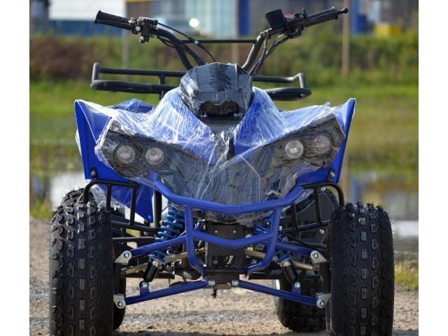 Atv Winner 125cmc Renegade(Pentru Adulti si Copii)