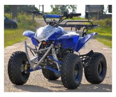 Atv Winner Atv 125cmc Alien(Pentru Adulti si Copii)