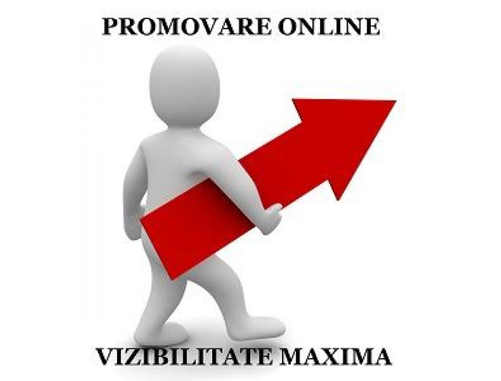 Promovare online, vizibilitate maxima